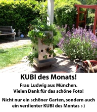 KUBI des Monats 2 Foto Barbara Ludwig KUBI des Monats