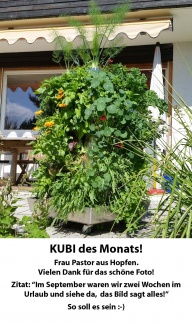 KUBI des Monats 3 Foto Conny Pastor KUBI des Monats