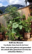 KUBI des Monats 5 KUBI 2015-02 Frau Budde Kopie