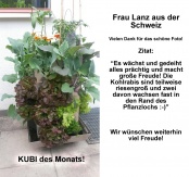 KUBI des Monats 10 2015-07 KUBI des Monats Lanz Schweiz