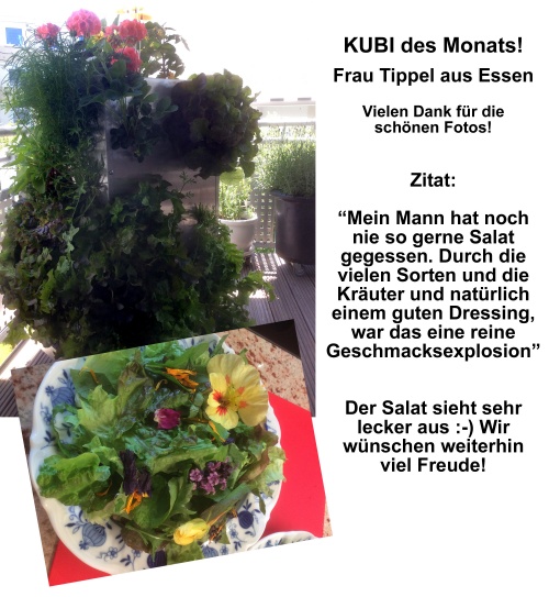 KUBI des Monats 11 2015-08 KUBI des Monats Tippel Essen