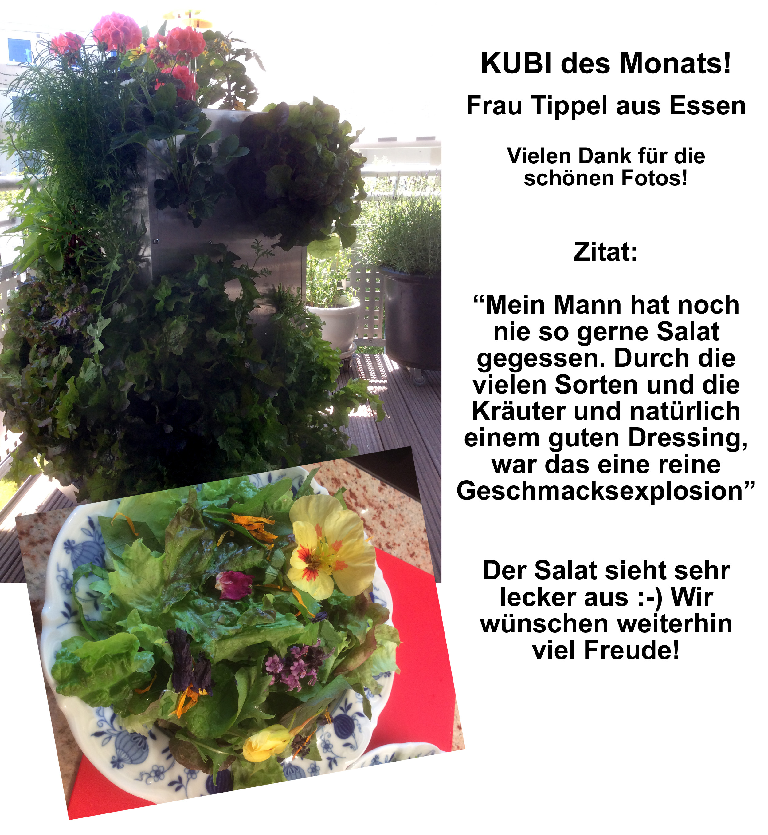 2015-08 KUBI des Monats Tippel Essen
