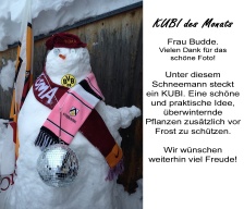 KUBI des Monats 16 KUBI des Monats 2016-01