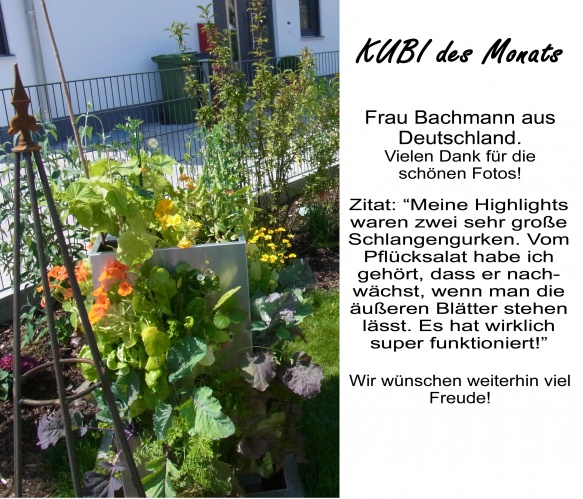 KUBI des Monats 19 Erfahrungen mit dem KUBI
