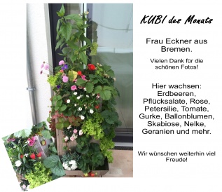 KUBI des Monats 20 KUBI Bericht
