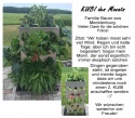 KUBI des Monats 21 KUBI Erfahrungen