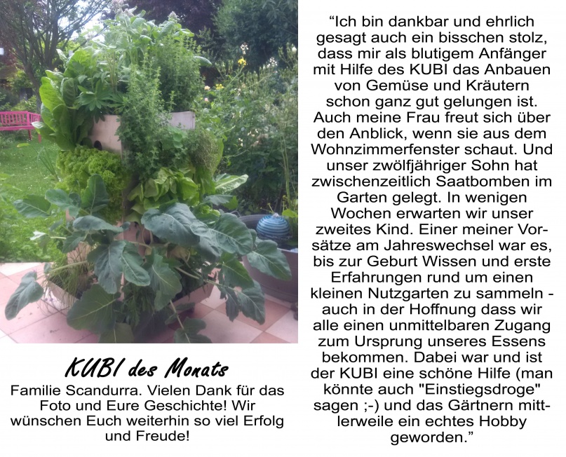 KUBI des Monats 22 KUBI Erfahrungsbericht