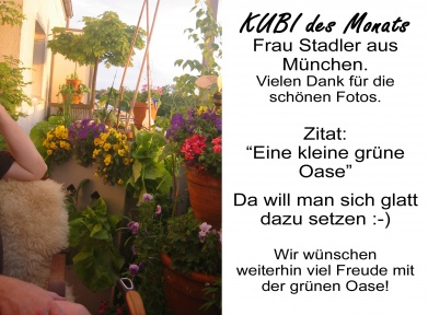KUBI des Monats 24 KUBI Rezensionen