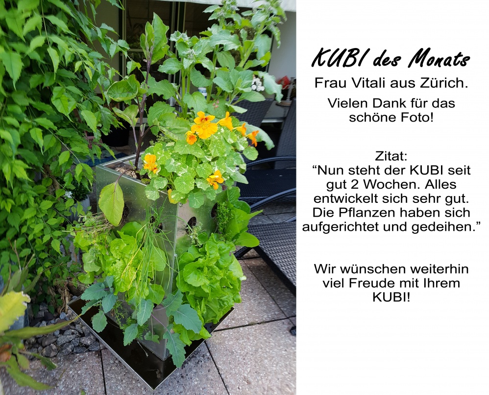 KUBI des Monats 25 KUBI Wettbewerb
