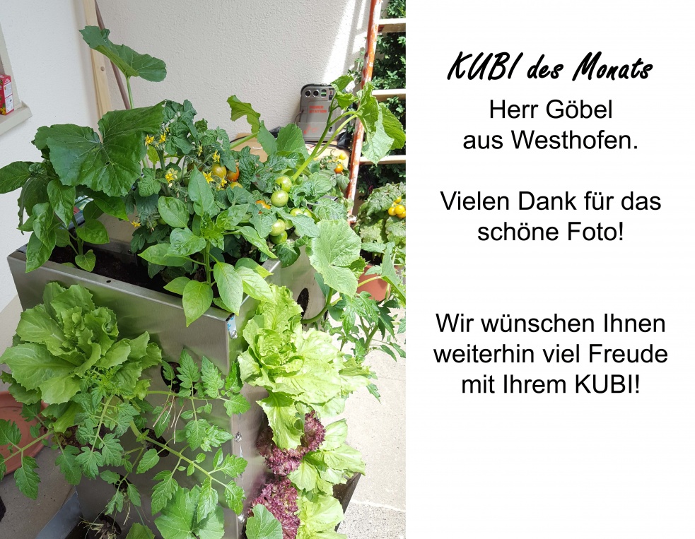 KUBI des Monats 27 KUBI Kunden