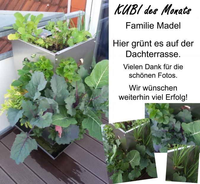 KUBI des Monats 28 Dachterrassengestaltung, Anbau