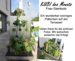 KUBI des Monats 29 Hochbeet KUBI auf der Terrasse