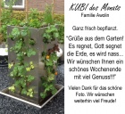 KUBI des Monats 32 KUBI frisch bepflanzt Juni